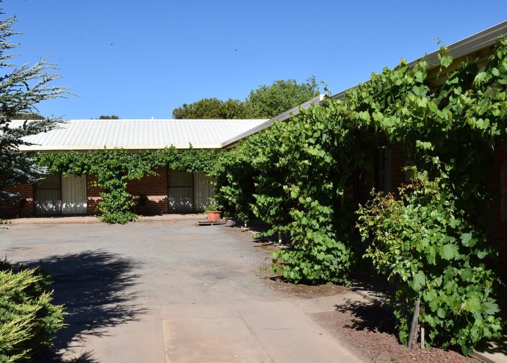 Roundhouse Motel Peterborough Ruang foto